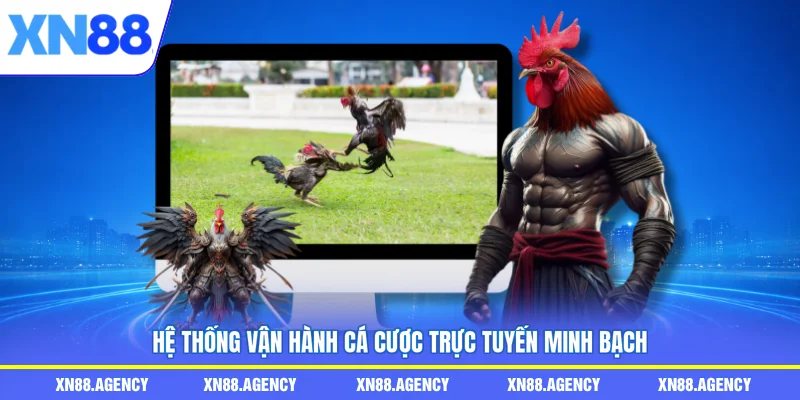Hệ thống vận hành cá cược trực tuyến minh bạch