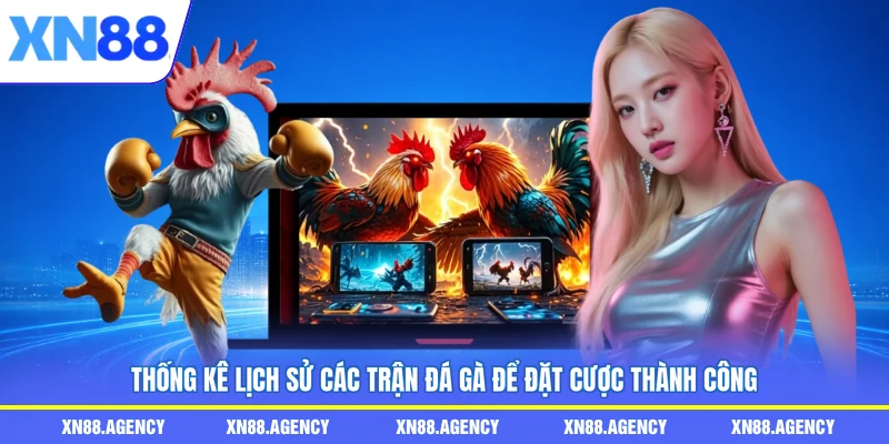Thống kê lịch sử các trận đá gà để đặt cược thành công